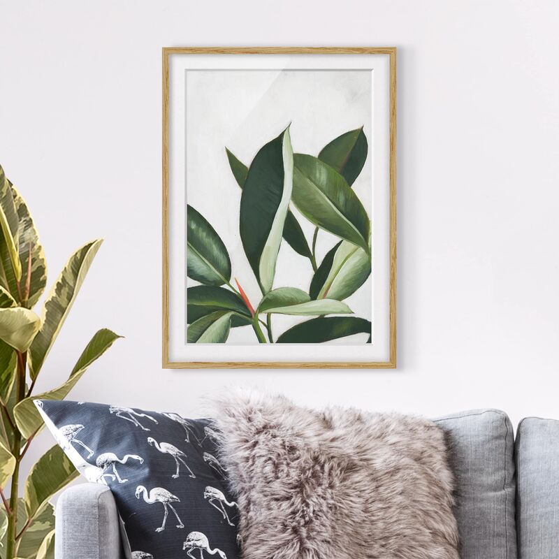 

Póster enmarcado - Piante Preferite - Albero Della Gomma Dimensión LxA: 40cm x 30cm, Marco: Roble