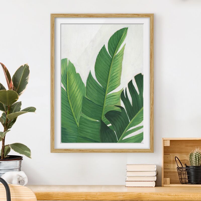 

Póster enmarcado - Piante Preferite - Di Banana Dimensión LxA: 100cm x 70cm, Marco: Roble