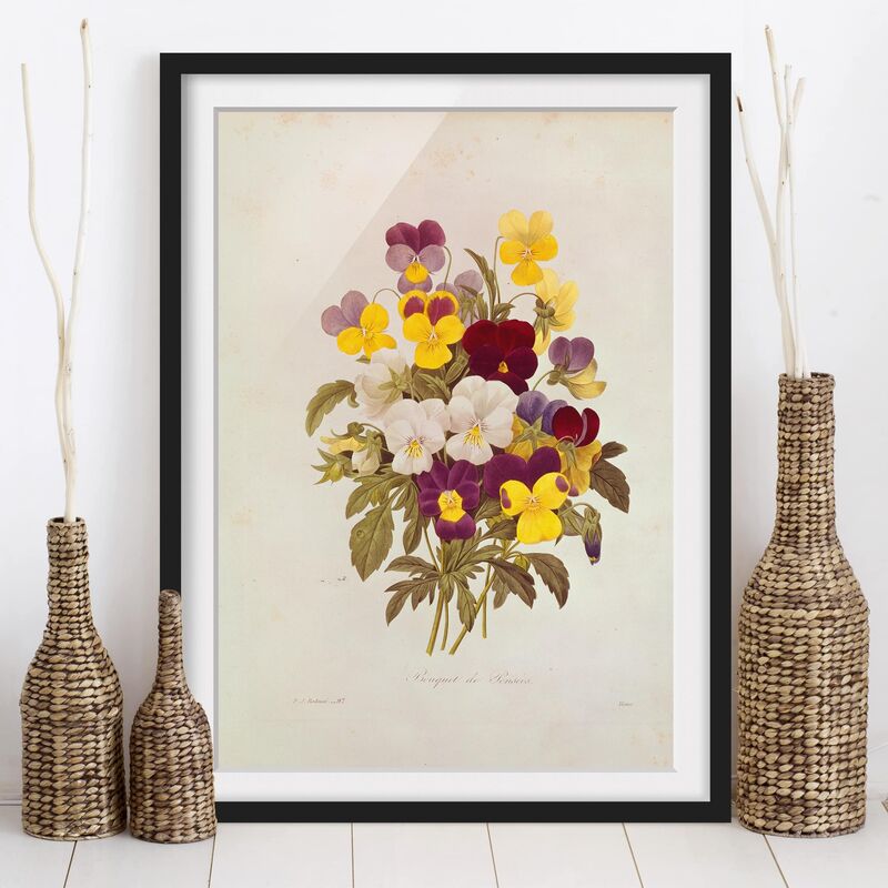 

Póster enmarcado - Pierre Joseph Redoute - Un mazzo di viole del pensiero Dimensión LxA: 40cm x 30cm, Marco: Negro