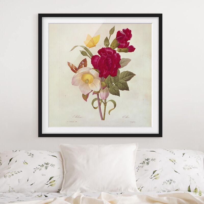 

Póster enmarcado - Pierre Joseph Redoute - Hellebores Dimensión LxA: 50cm x 50cm, Marco: Negro