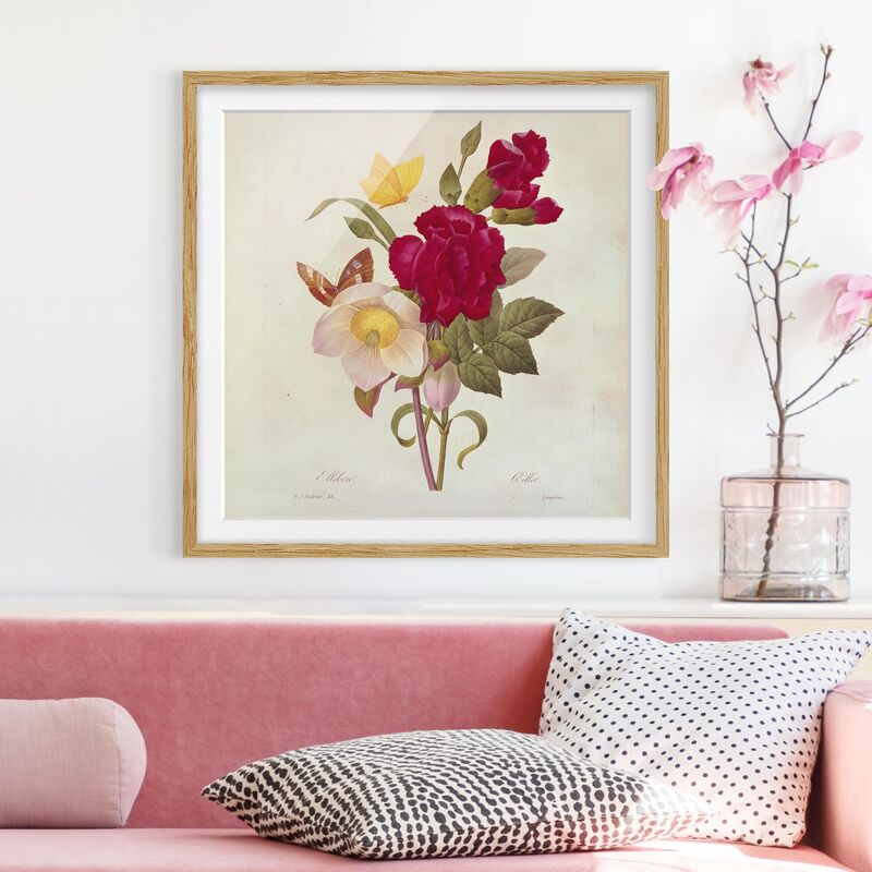 

Póster enmarcado - Pierre Joseph Redoute - Hellebores Dimensión LxA: 70cm x 70cm, Marco: Roble