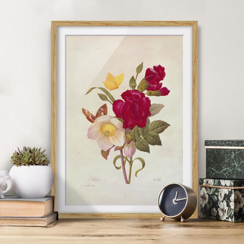 

Póster enmarcado - Pierre Joseph Redoute - Hellebores Dimensión LxA: 40cm x 30cm, Marco: Roble