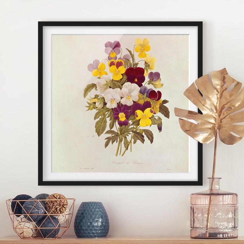 

Póster enmarcado - Pierre Joseph Redoute - Un mazzo di viole del pensiero Dimensión LxA: 70cm x 70cm, Marco: Negro