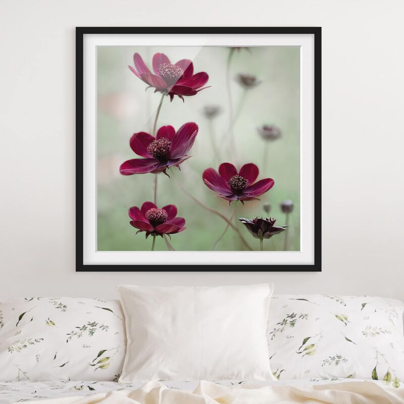 

Póster enmarcado - Pink Kosmeen Dimensión LxA: 20cm x 20cm, Marco: Negro