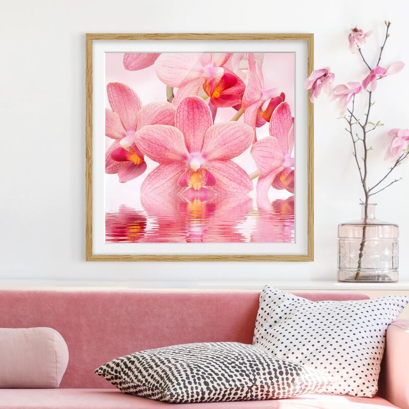 

Póster enmarcado - Pink Orchids On Water Dimensión LxA: 70cm x 70cm, Marco: Roble