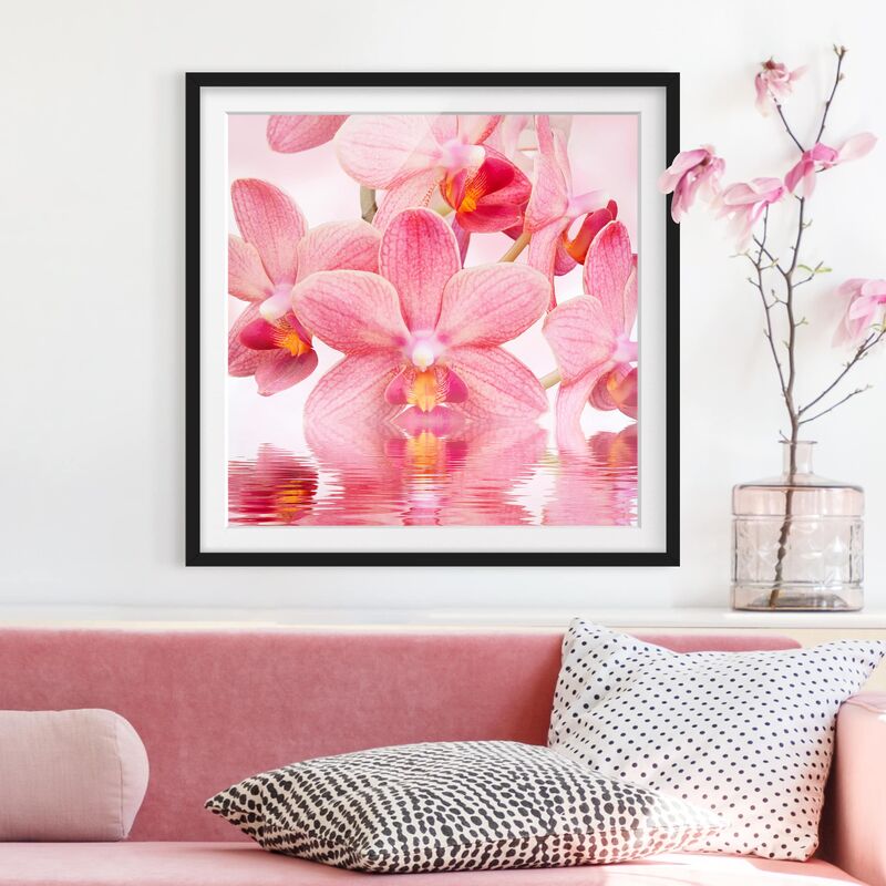 

Póster enmarcado - Pink Orchids On Water Dimensión LxA: 30cm x 30cm, Marco: Negro