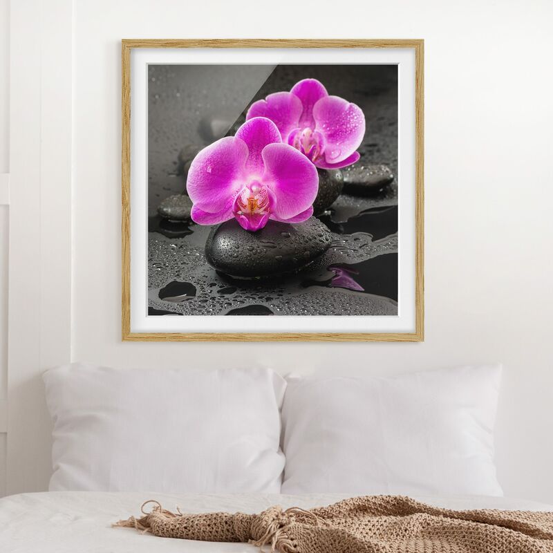 

Póster enmarcado - Pink Orchid Fiori Sulle Pietre Con Le Gocce Dimensión LxA: 20cm x 20cm, Marco: Roble