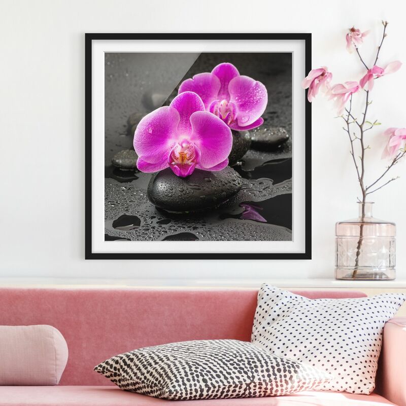 

Póster enmarcado - Pink Orchid Fiori Sulle Pietre Con Le Gocce Dimensión LxA: 50cm x 50cm, Marco: Negro