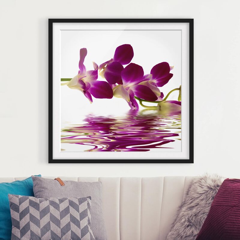 

Póster enmarcado - Pink Orchid Waters Dimensión LxA: 70cm x 70cm, Marco: Negro