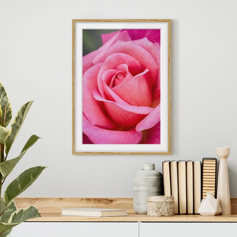 

Póster enmarcado - Pink Rose Bloom di fronte al verde Dimensión LxA: 100cm x 70cm, Marco: Roble