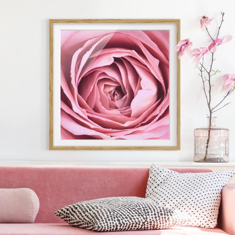 

Póster enmarcado - Pink Rose Blossom Dimensión LxA: 20cm x 20cm, Marco: Roble