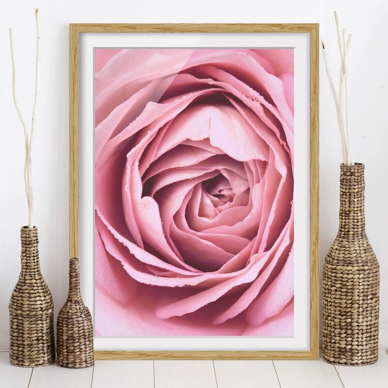 

Póster enmarcado - Pink Rose Blossom Dimensión LxA: 24cm x 18cm, Marco: Roble