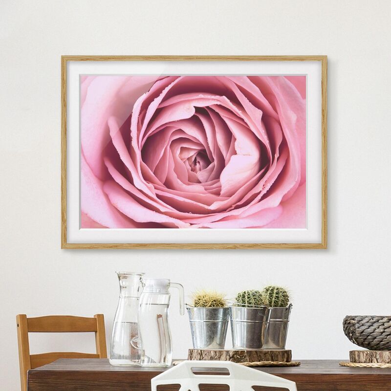 

Póster enmarcado - Pink Rose Blossom Dimensión LxA: 70cm x 100cm, Marco: Roble