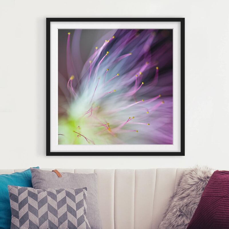 

Póster enmarcado - Pollen Dimensión LxA: 70cm x 70cm, Marco: Negro