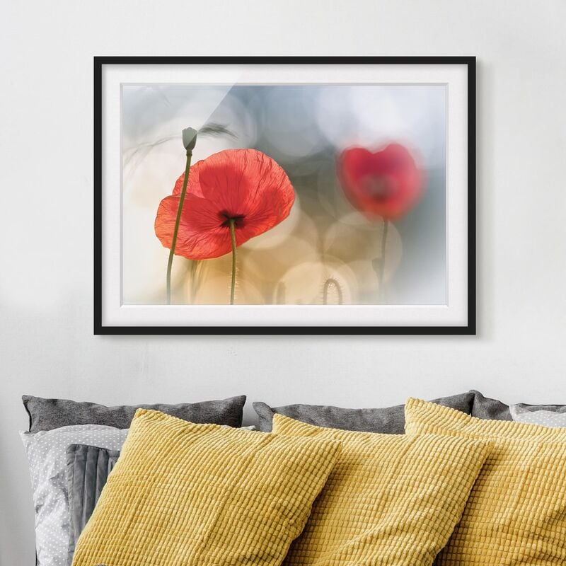 

Póster enmarcado - Poppies In The Morning Dimensión LxA: 40cm x 55cm, Marco: Negro