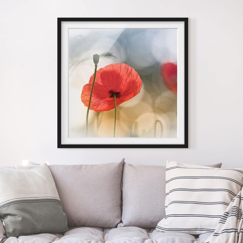 

Póster enmarcado - Poppies In The Morning Dimensión LxA: 50cm x 50cm, Marco: Negro