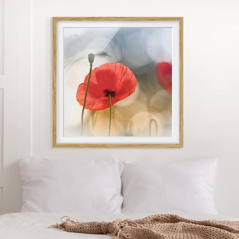 

Póster enmarcado - Poppies In The Morning Dimensión LxA: 70cm x 70cm, Marco: Roble