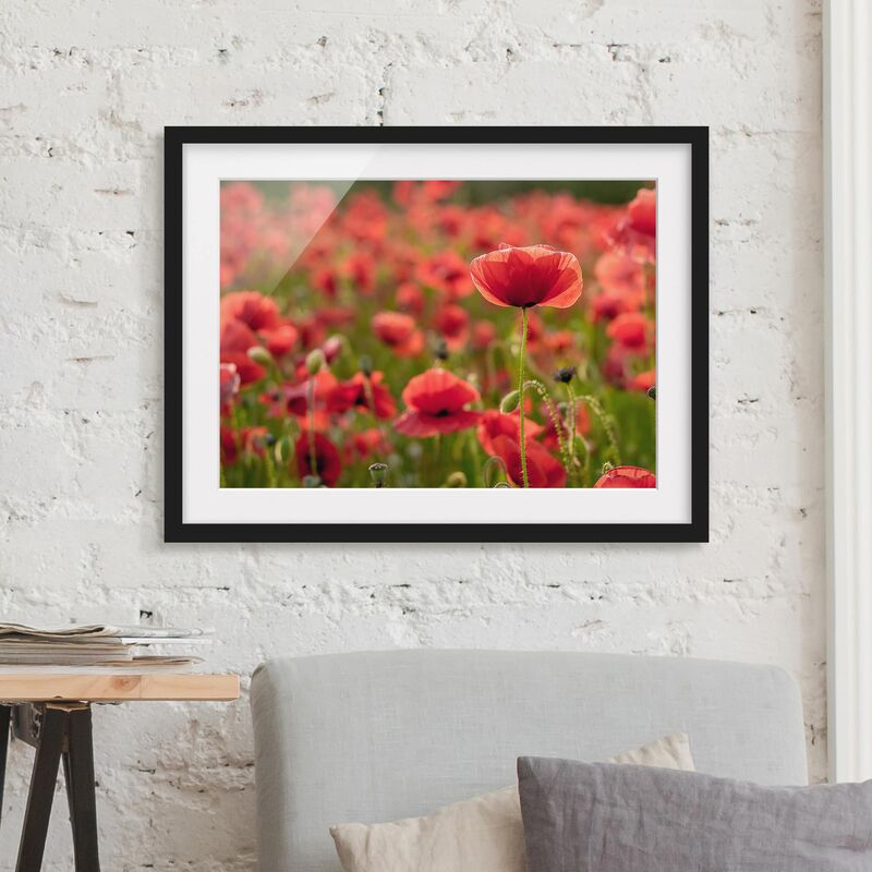 

Póster enmarcado - Poppy Field In Sunlight Dimensión LxA: 18cm x 24cm, Marco: Negro