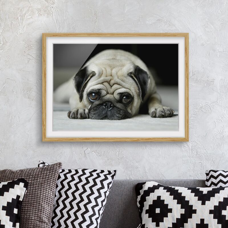 

Póster enmarcado - Pug Loves You Dimensión LxA: 30cm x 40cm, Marco: Roble