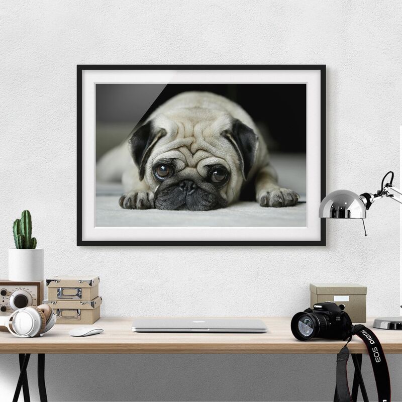 

Póster enmarcado - Pug Loves You Dimensión LxA: 70cm x 100cm, Marco: Negro