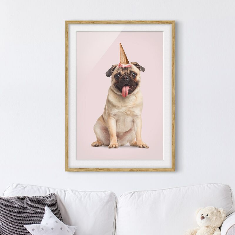 

Póster enmarcado - Pug con cono di gelato Dimensión LxA: 55cm x 40cm, Marco: Roble