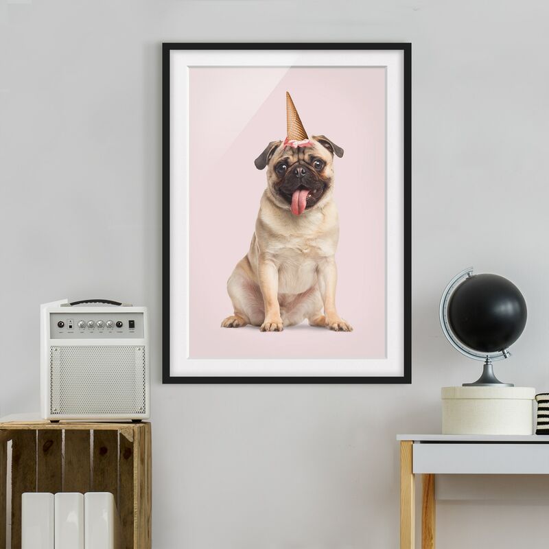 

Póster enmarcado - Pug con cono di gelato Dimensión LxA: 24cm x 18cm, Marco: Negro