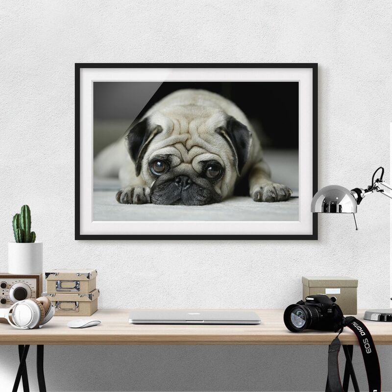 

Póster enmarcado - Pug Loves You Dimensión LxA: 18cm x 24cm, Marco: Negro