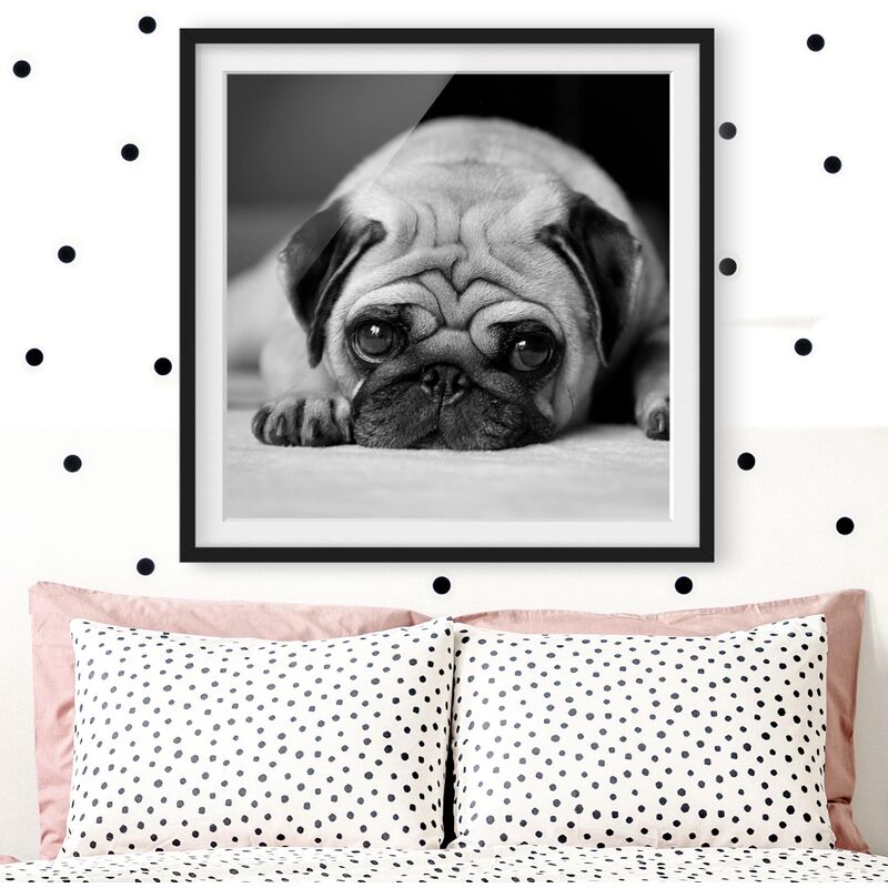 

Póster enmarcado - Pug Loves You II Dimensión LxA: 30cm x 30cm, Marco: Negro