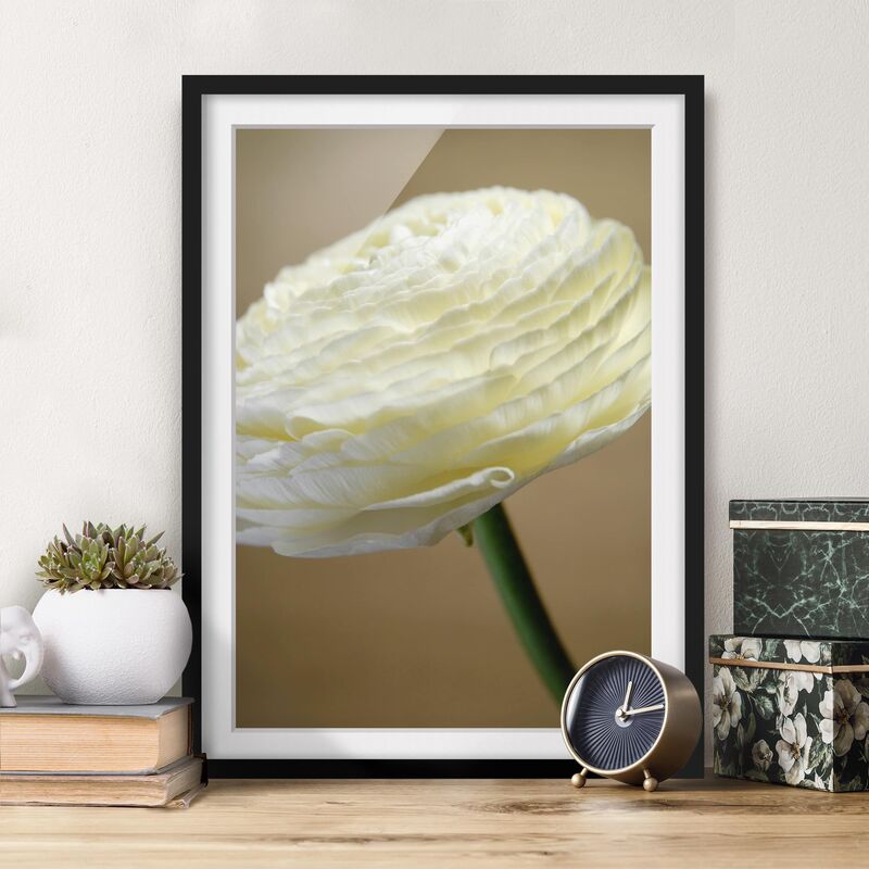 

Póster enmarcado - Pure Elegance Dimensión LxA: 70cm x 50cm, Marco: Negro