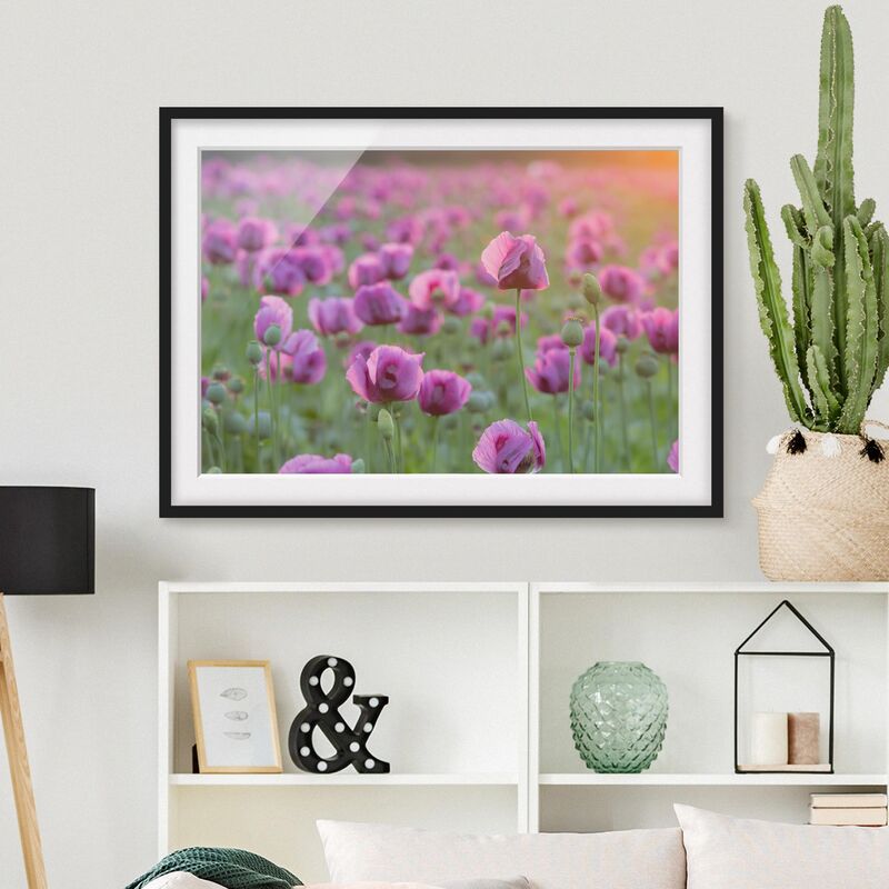 

Póster enmarcado - Purple Poppy Flower Meadow In Spring Dimensión LxA: 70cm x 100cm, Marco: Negro