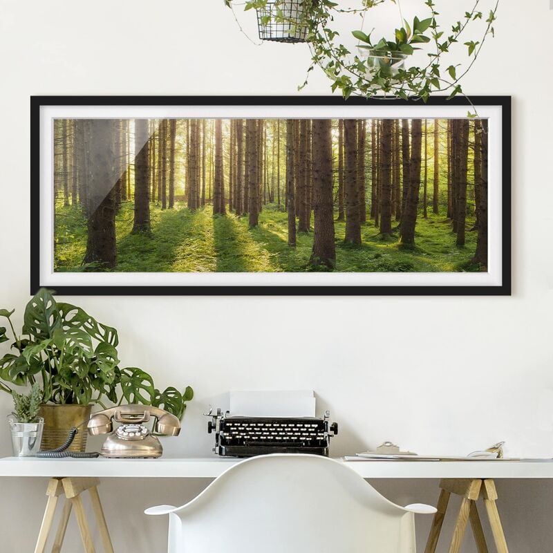 

Póster enmarcado - Raggi Di Sole Nella Foresta Verde Dimensión LxA: 30cm x 75cm, Marco: Negro