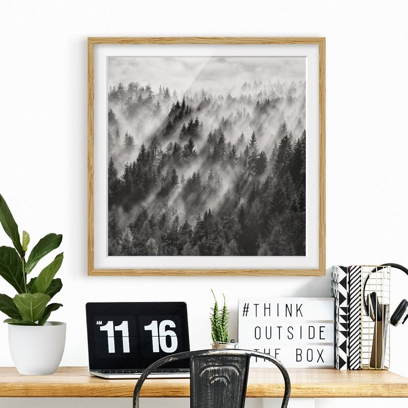 

Póster enmarcado - Raggi Luce nella foresta di conifere Dimensión LxA: 70cm x 70cm, Marco: Roble