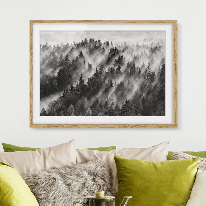 

Póster enmarcado - Raggi Luce nella foresta di conifere Dimensión LxA: 50cm x 70cm, Marco: Roble