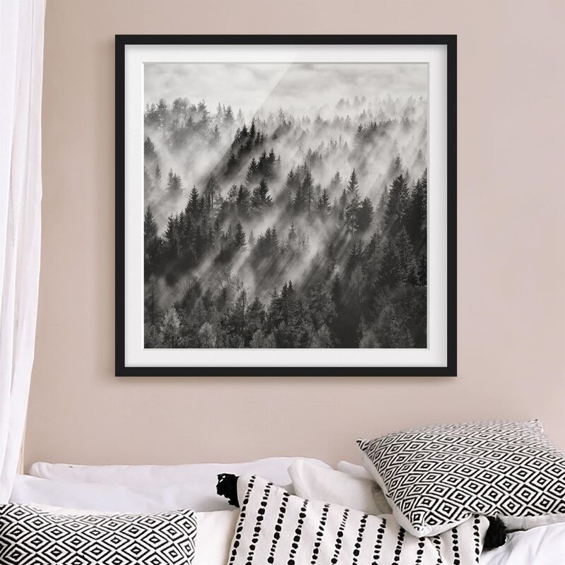 

Póster enmarcado - Raggi Luce nella foresta di conifere Dimensión LxA: 50cm x 50cm, Marco: Negro