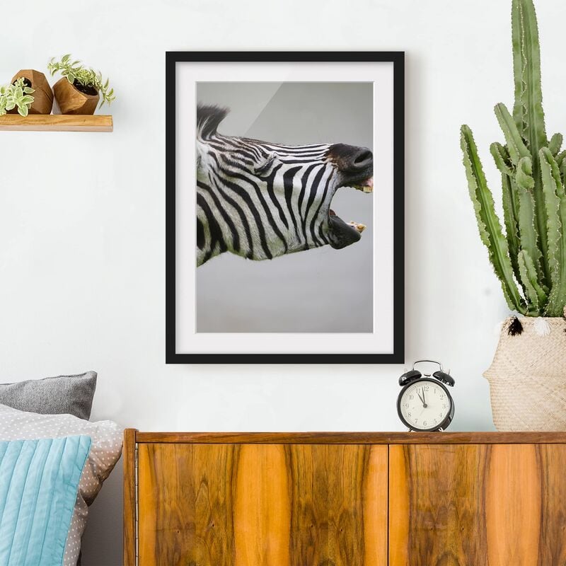 

Póster enmarcado - Rawling Zebra Dimensión LxA: 70cm x 50cm, Marco: Negro