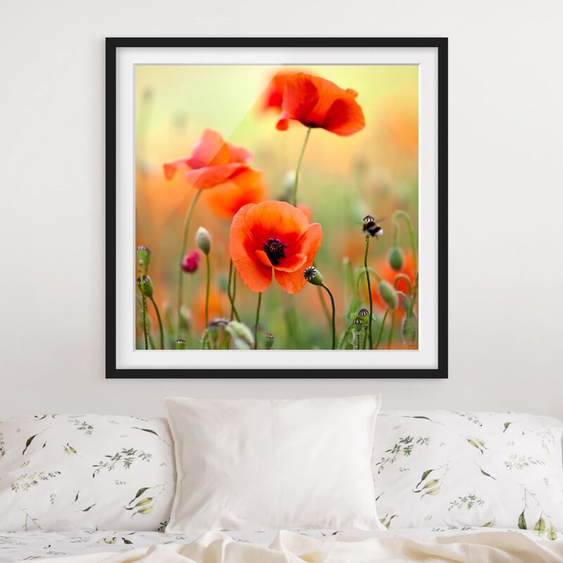 

Póster enmarcado - Red Summer Poppy Dimensión LxA: 70cm x 70cm, Marco: Negro
