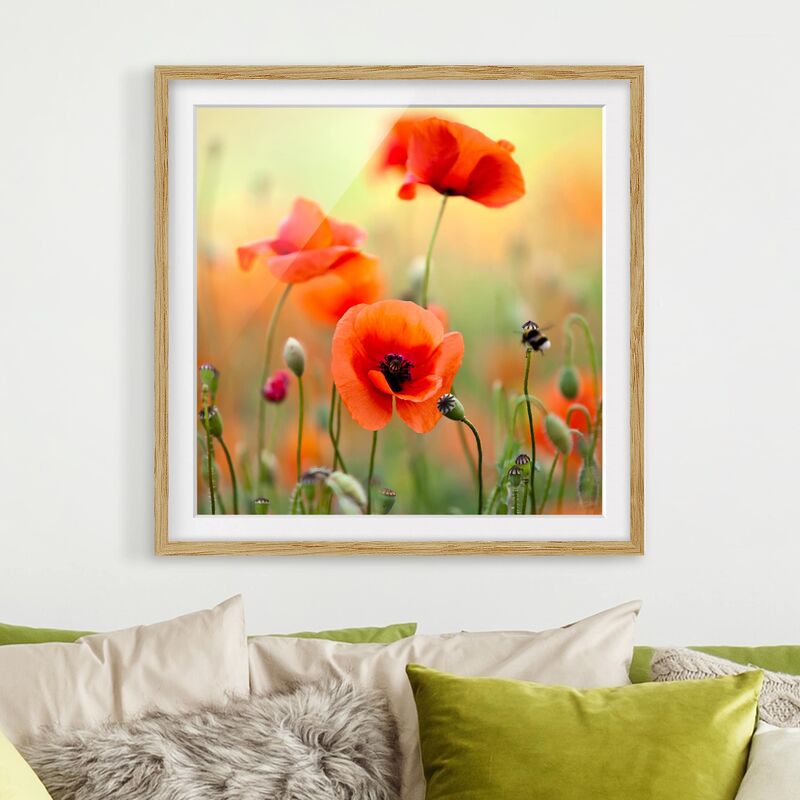 

Póster enmarcado - Red Summer Poppy Dimensión LxA: 30cm x 30cm, Marco: Roble