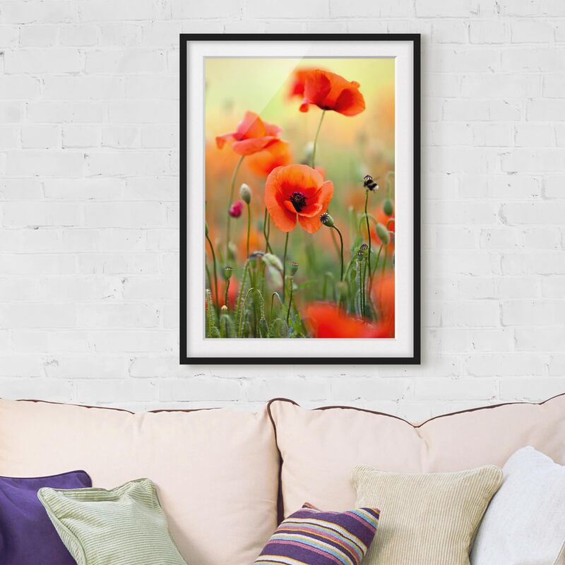 

Póster enmarcado - Red Summer Poppy Dimensión LxA: 70cm x 50cm, Marco: Negro