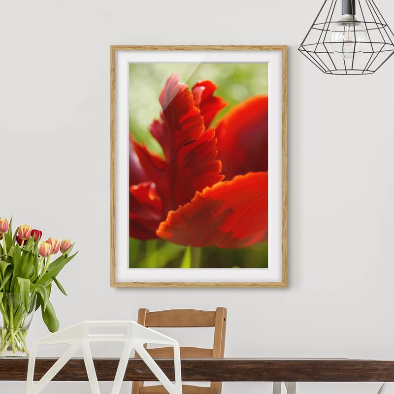 

Póster enmarcado - Red Tulip Dimensión LxA: 24cm x 18cm, Marco: Roble