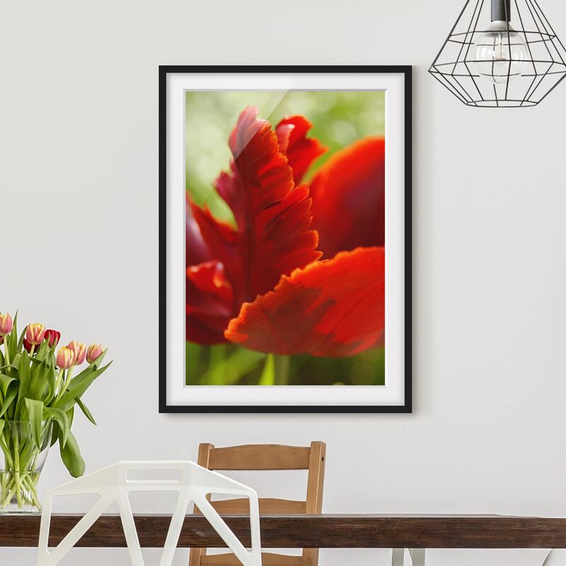 

Póster enmarcado - Red Tulip Dimensión LxA: 24cm x 18cm, Marco: Negro