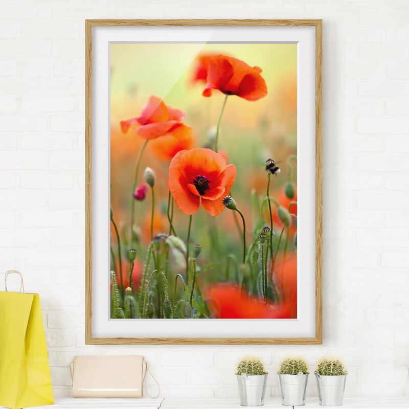 

Póster enmarcado - Red Summer Poppy Dimensión LxA: 55cm x 40cm, Marco: Roble