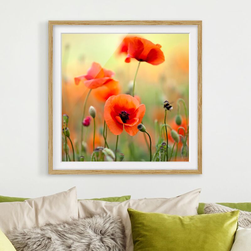 

Póster enmarcado - Red Summer Poppy Dimensión LxA: 50cm x 50cm, Marco: Roble