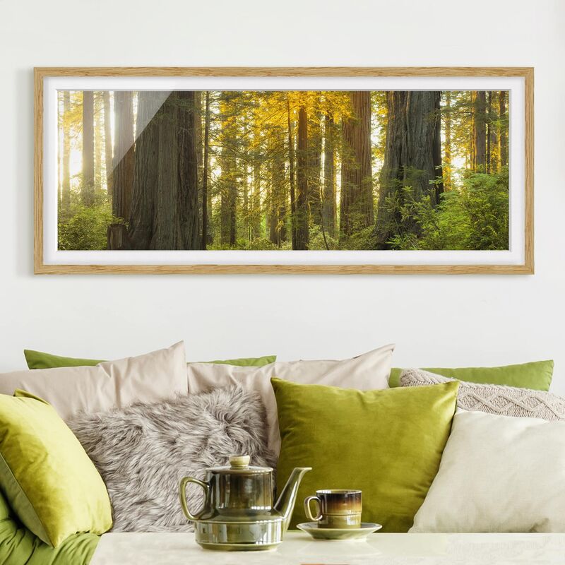 

Póster enmarcado - Redwood National Park Dimensión LxA: 30cm x 75cm, Marco: Roble