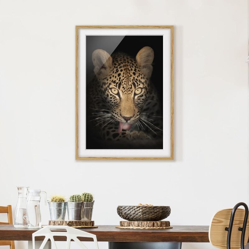 

Póster enmarcado - Resting Leopard Dimensión LxA: 55cm x 40cm, Marco: Roble