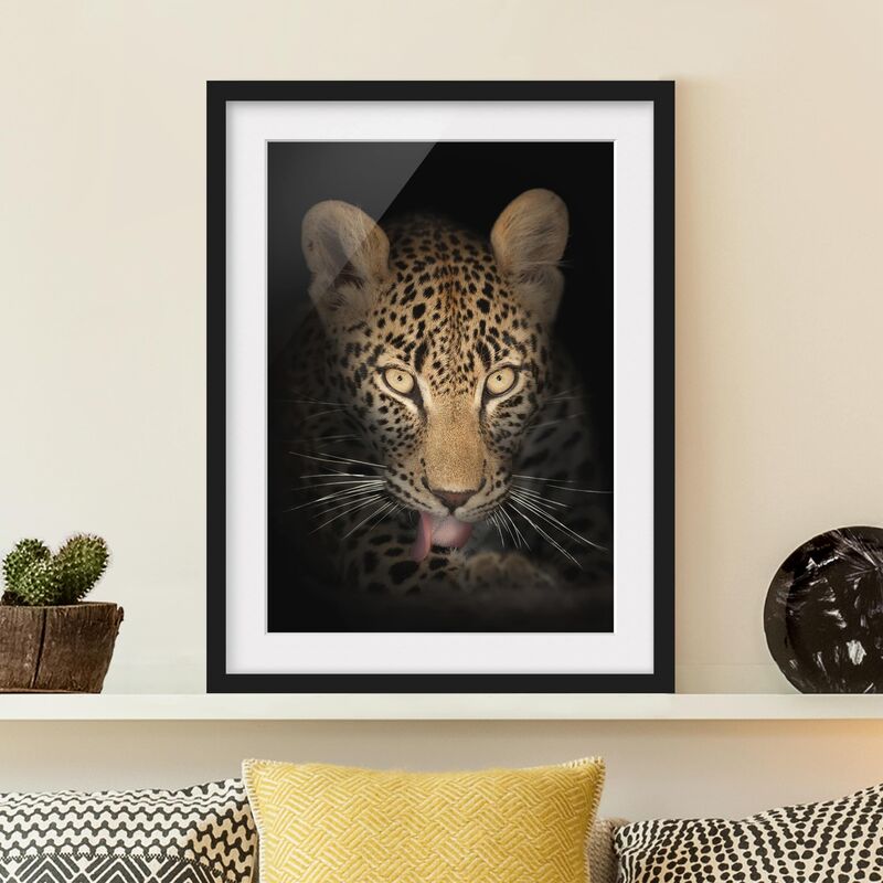 

Póster enmarcado - Resting Leopard Dimensión LxA: 24cm x 18cm, Marco: Negro