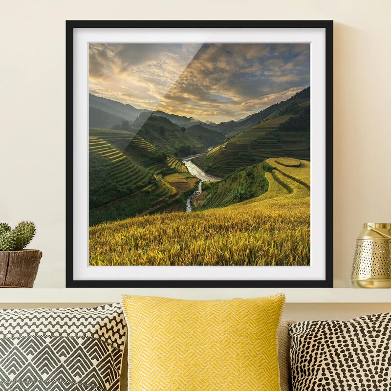 

Póster enmarcado - Rice Plantations In Vietnam Dimensión LxA: 70cm x 70cm, Marco: Negro