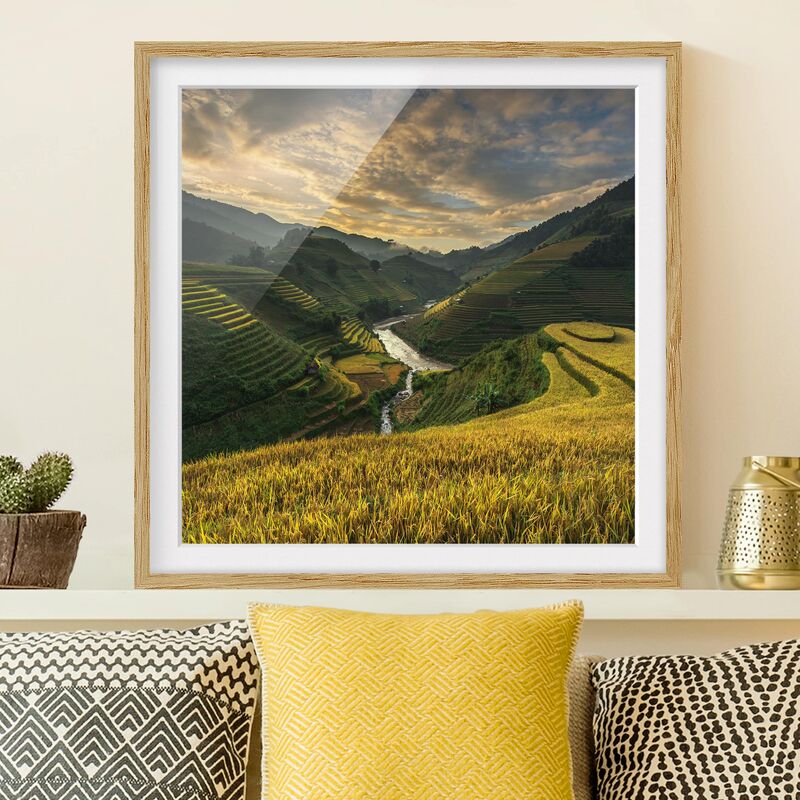 

Póster enmarcado - Rice Plantations In Vietnam Dimensión LxA: 70cm x 70cm, Marco: Roble