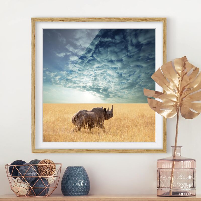 

Póster enmarcado - Rhino In The Savannah Dimensión LxA: 30cm x 30cm, Marco: Roble