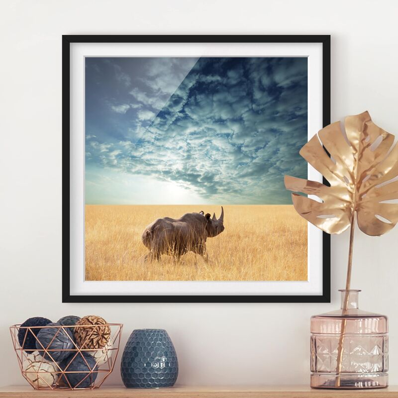 

Póster enmarcado - Rhino In The Savannah Dimensión LxA: 70cm x 70cm, Marco: Negro