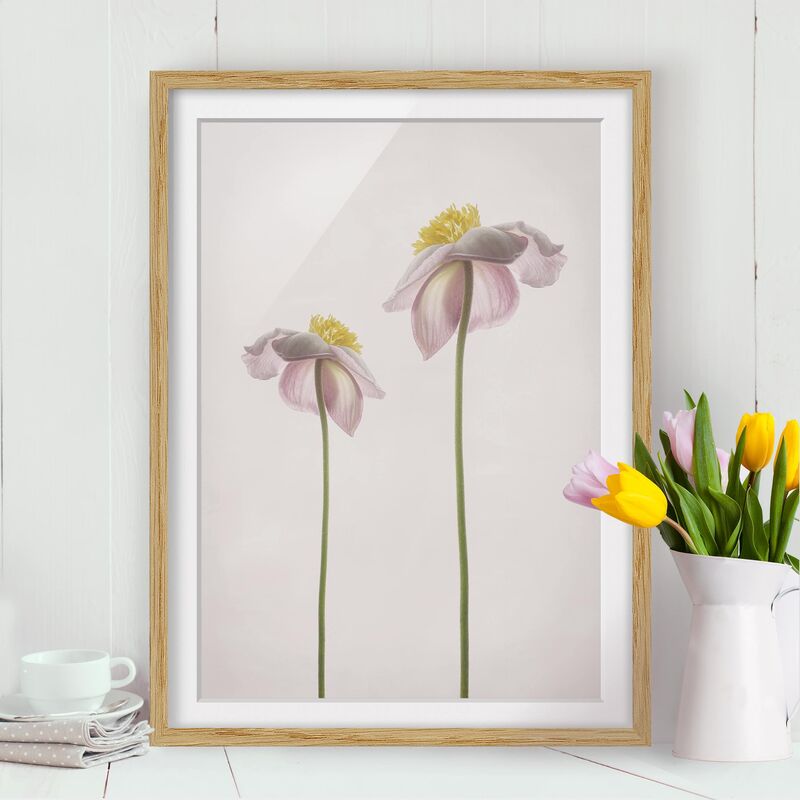 

Póster enmarcado - Rosa Anemone Fiori Dimensión LxA: 100cm x 70cm, Marco: Roble